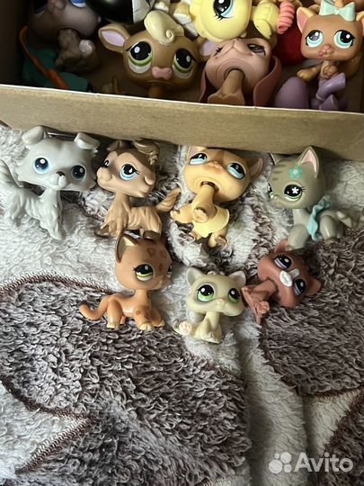 Littlest pet shop