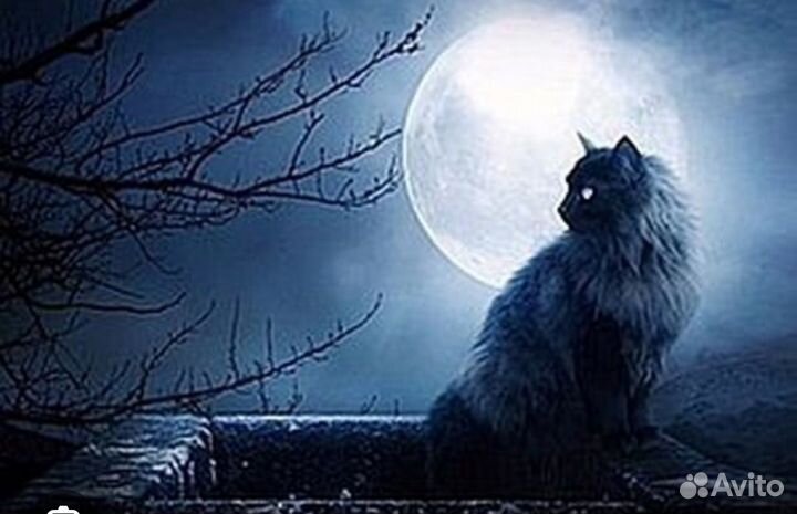 Сонник(расшифровка сна)