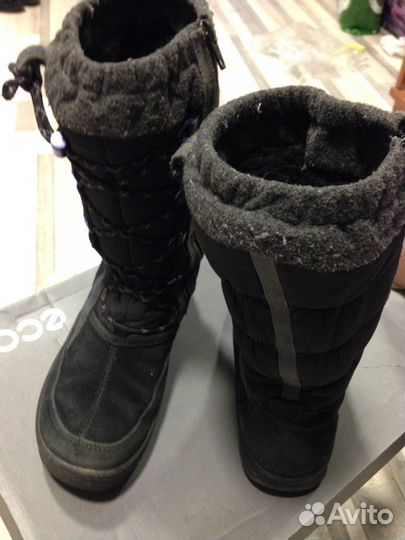 Сапоги зимние Ecco