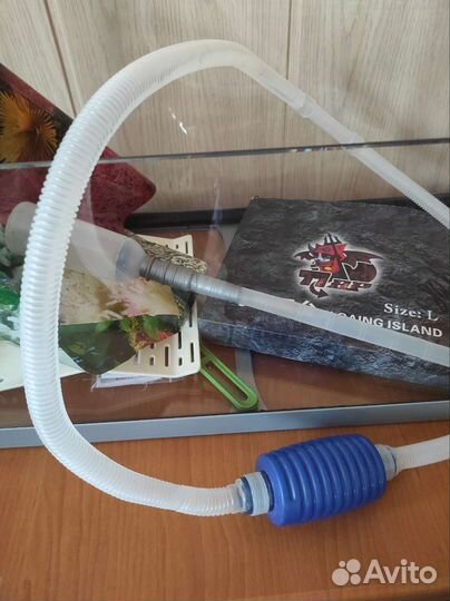 Аквариум, террариум, палюдариум