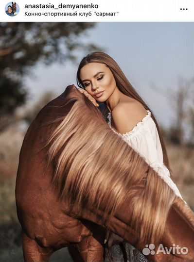 Стильные фотосессии с лошадьми