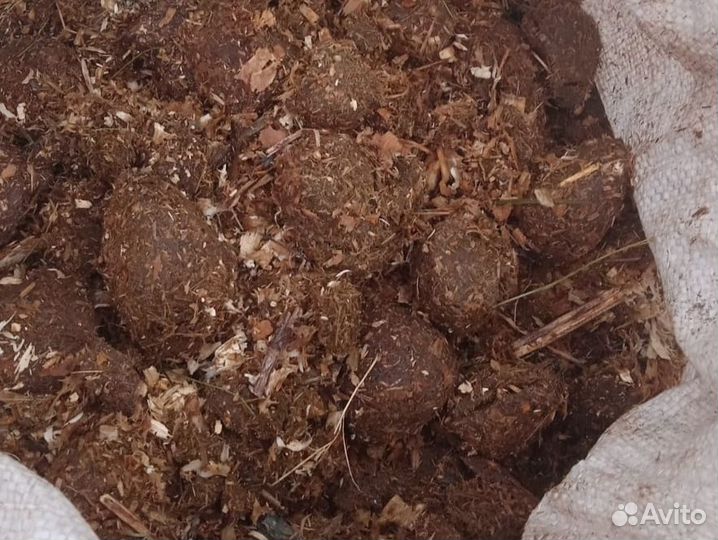 Навоз конский в мешках