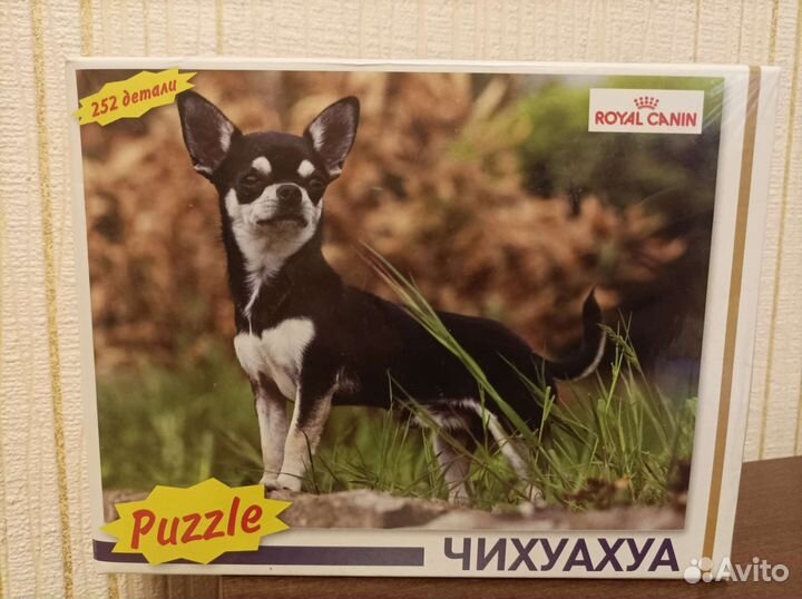 Пазлы Чихуахуа