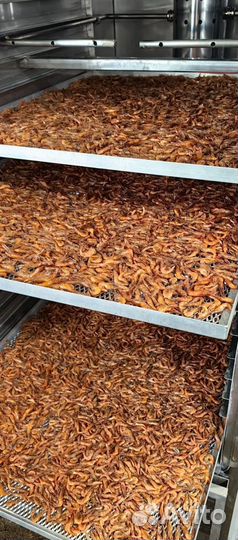 Креветки в Москве и мо