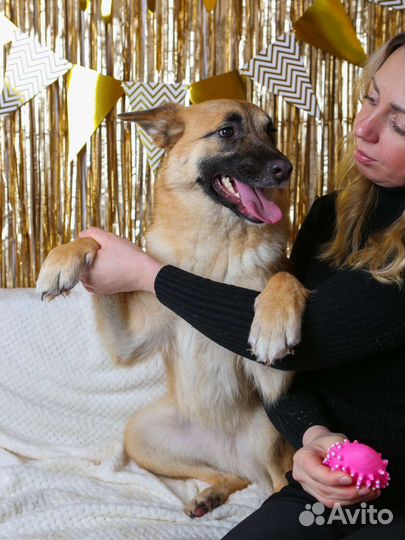 Активная и дружелюбная Инди