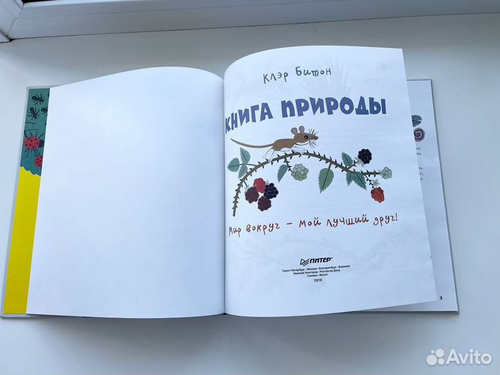 Книга природа игры и поделки Клэр Битон Питер