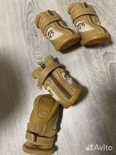 Новая обувь для собак мелких пород