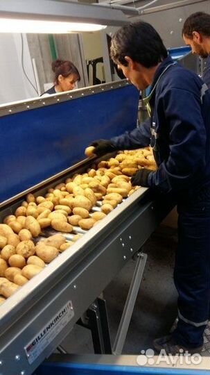 Переборщик овощей/Упаковщик на склад с проживанием