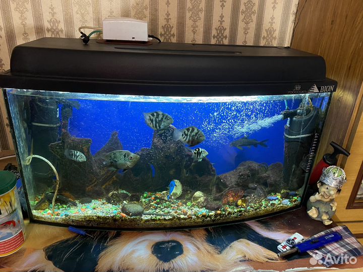 Аквариум с рыбками бу
