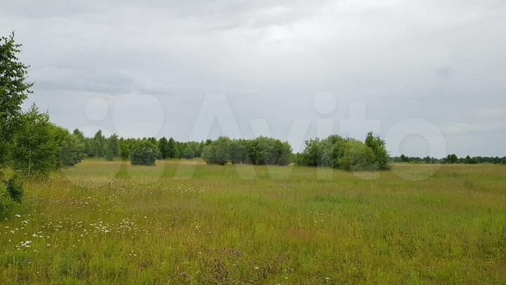 Участок 25,6 га (СНТ, ДНП)