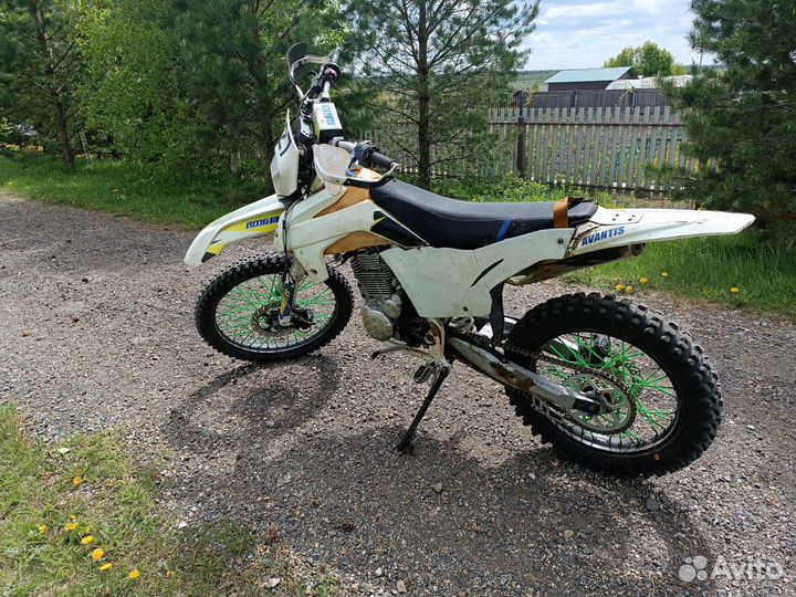 Avantis fx250 lux