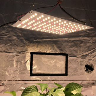 Фитосветильник Quantum Board 60 Вт + 660nm Epistar