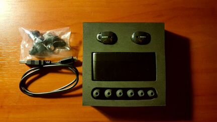 Беспроводные наушники Sony WF-100X