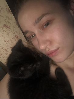 Котята в добрые руки бесплатно