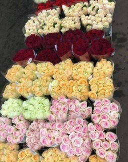 Розы цветы оптом розница доставка