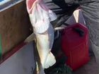 Морская рыбалка, морские прогулки на Баренцевом мо