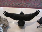 Статуэтка орел бронза мрамор. длина 77 см. цельной объявление продам