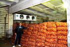 Овощехранилище фруктохранилище 20 000 м2 объявление продам