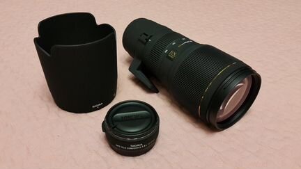 Sigma 100-300mm f/4 EX DG APO HSM и конвертер х1