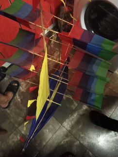 Литающий змей