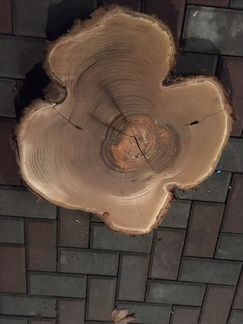 Фигурные спилы, слэб дикой маслины