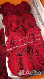 51 роза Эквадор 80 см купить на Зозу.ру - фотография № 3