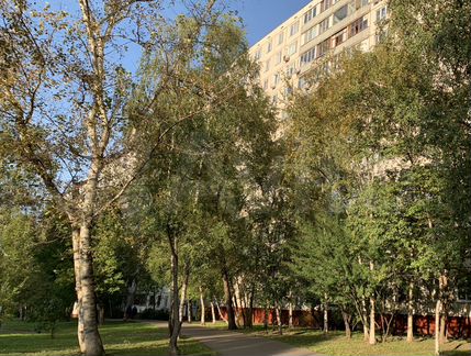 Квартира-студия, 22.8 м², 1/12 эт.