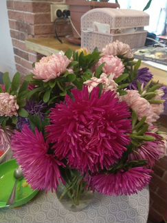 Семена от Биотехники. Совместная закупка