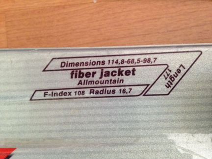 Горные лыжи