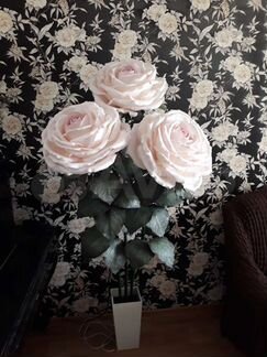 Ростовые цветы