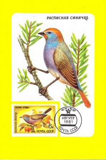 Календарики СССР - Реклама филателии