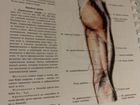 Атлас анатомии человека 1 том. Синельников объявление продам